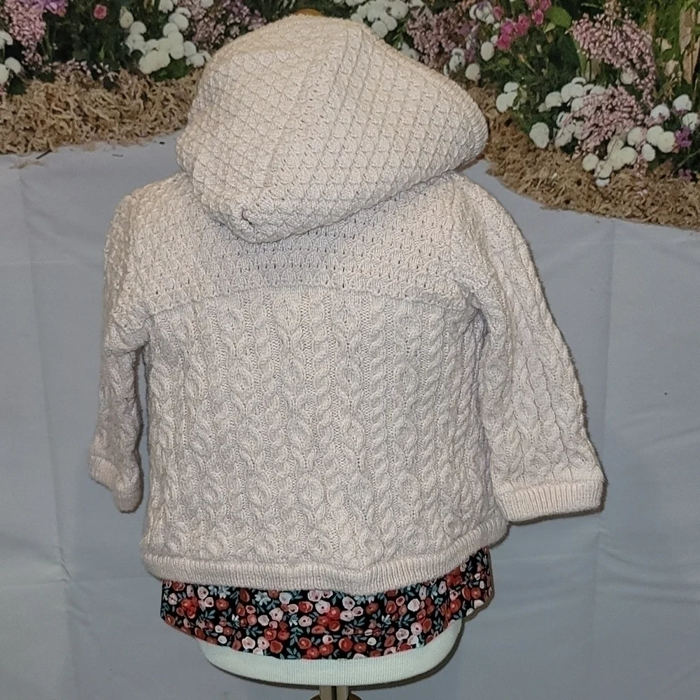 Carter's Shirt Bundle
